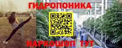 шишки Малоярославец