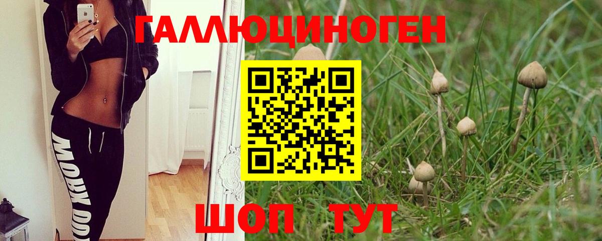 Галлюциногенные грибы ЛСД Грозный
